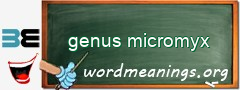 WordMeaning blackboard for genus micromyx